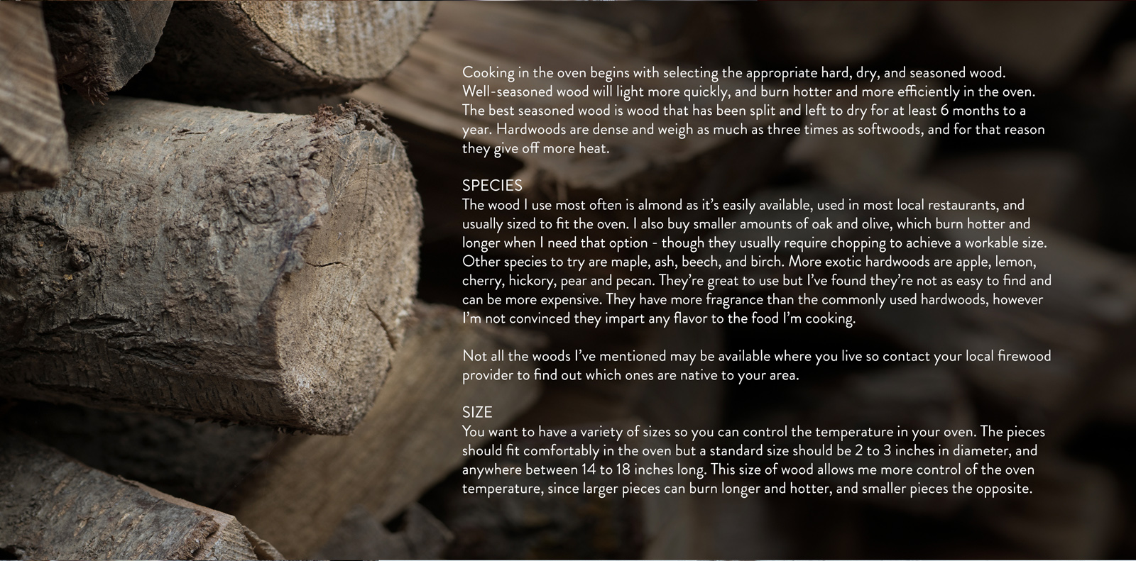 The Wood Fired Oven Chef